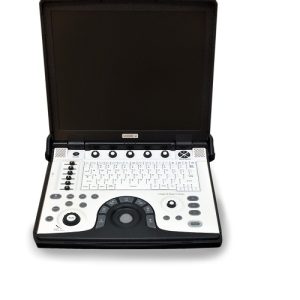 Ecograf Logiq E portable ultrasound
