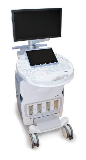 GE Voluson E10
